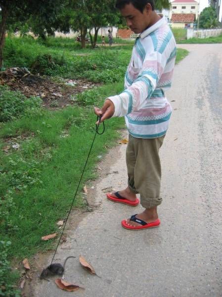 Daily Pictures. Part 1 (61 pics) Daily Pictures. Part 1 (61 pics)