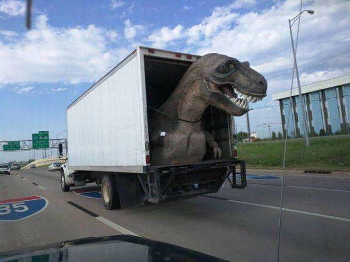 Daily Pictures. Part 1 (61 pics) Daily Pictures. Part 1 (61 pics)