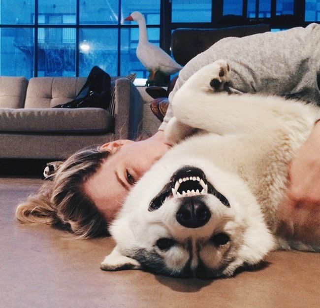 Daily Pictures. Part 1 (61 pics) Daily Pictures. Part 1 (61 pics)