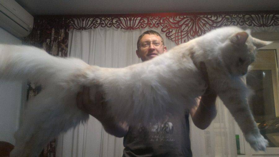 Daily Pictures. Part 1 (61 pics) Daily Pictures. Part 1 (61 pics)