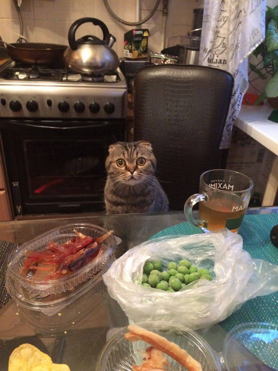 Daily Pictures. Part 1 (61 pics) Daily Pictures. Part 1 (61 pics)