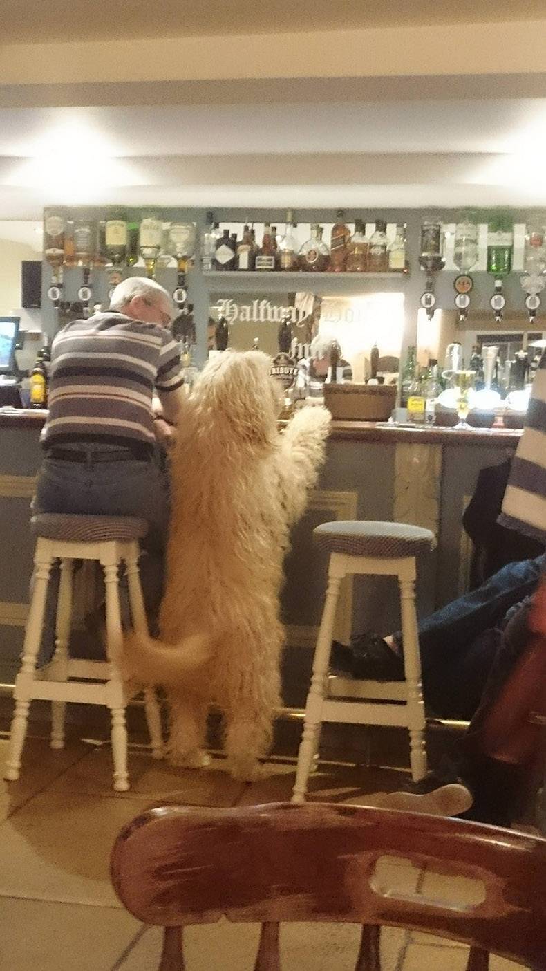 Daily Pictures. Part 1 (61 pics) Daily Pictures. Part 1 (61 pics)