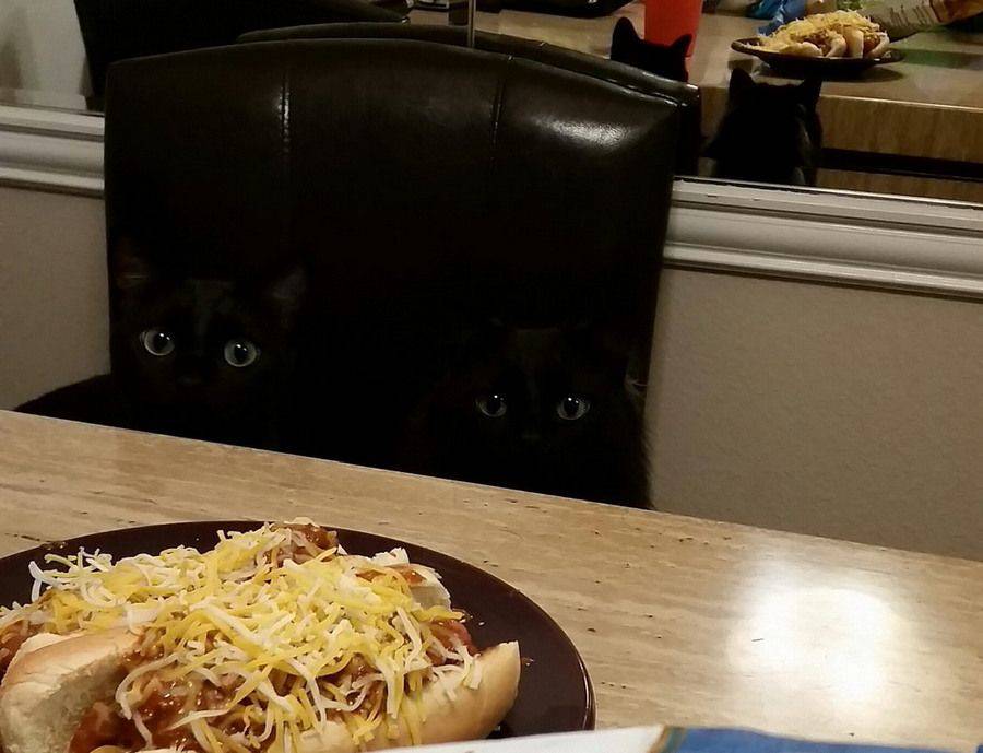 Daily Pictures. Part 1 (61 pics) Daily Pictures. Part 1 (61 pics)