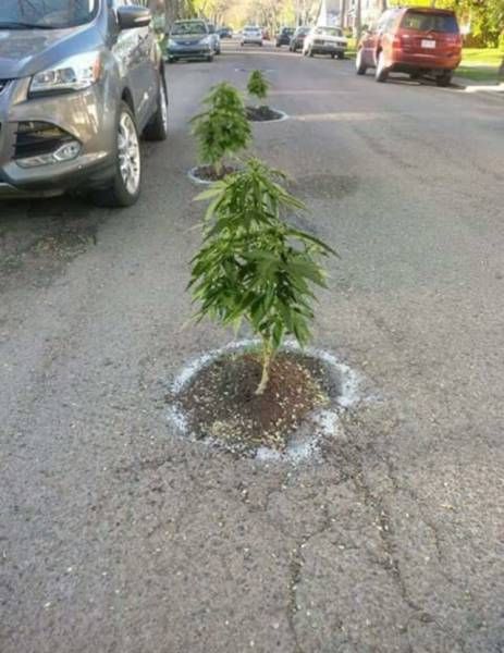 Daily Pictures. Part 1 (61 pics) Daily Pictures. Part 1 (61 pics)