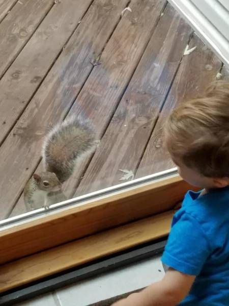 Daily Pictures. Part 1 (61 pics) Daily Pictures. Part 1 (61 pics)