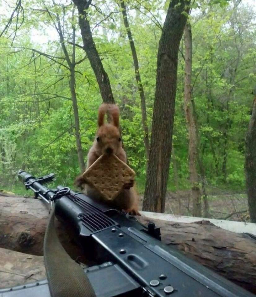 Daily Pictures. Part 1 (61 pics) Daily Pictures. Part 1 (61 pics)