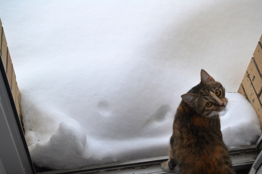 Daily Pictures. Part 2 (60 pics) Daily Pictures. Part 2 (60 pics)