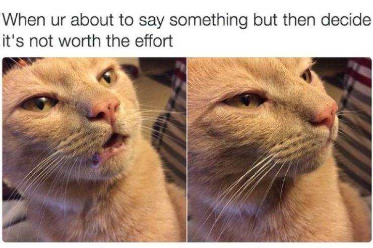 Daily Pictures. Part 2 (60 pics) Daily Pictures. Part 2 (60 pics)