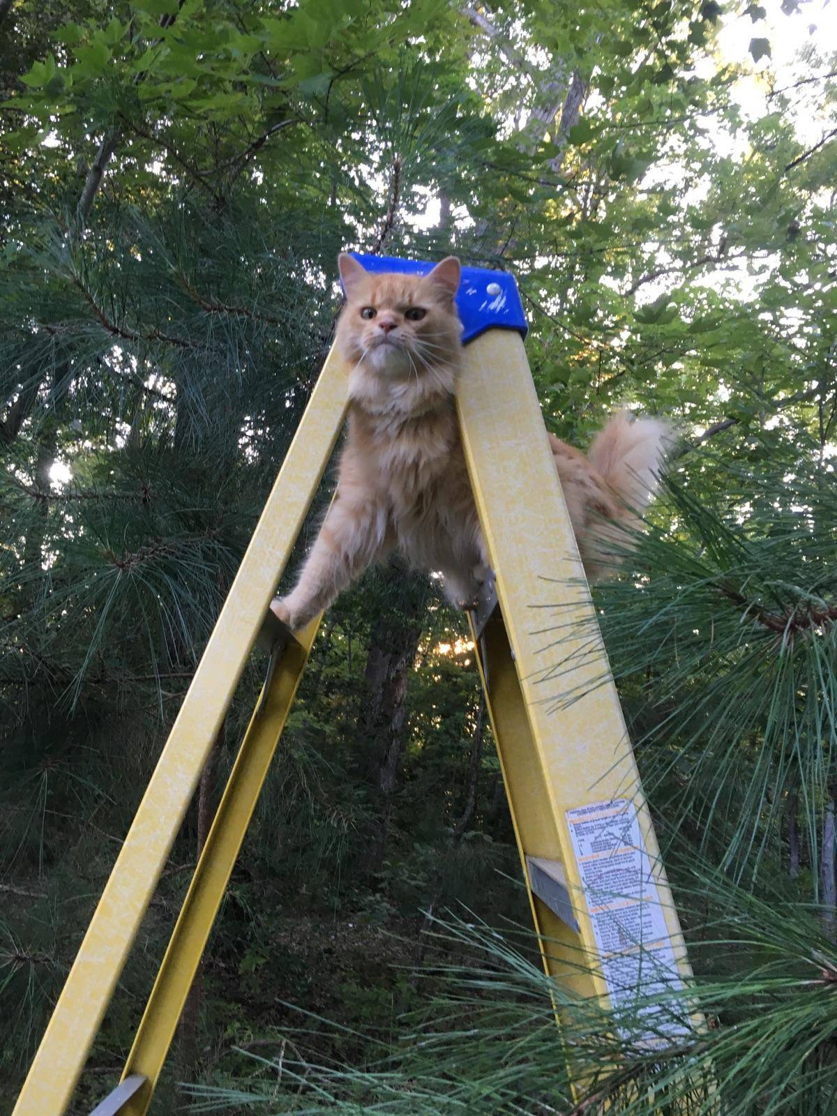 Daily Pictures. Part 2 (60 pics) Daily Pictures. Part 2 (60 pics)