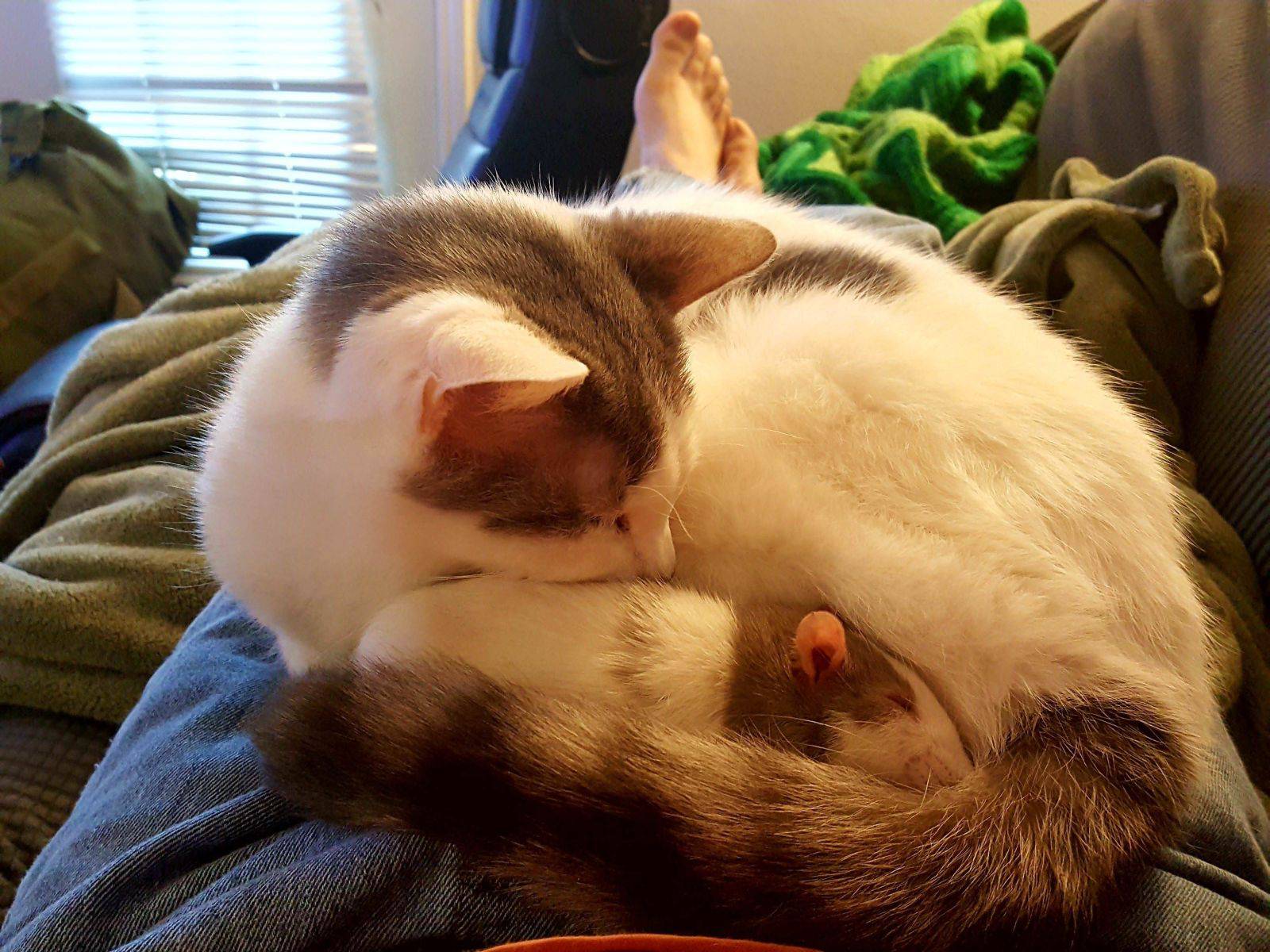 Daily Pictures. Part 2 (60 pics) Daily Pictures. Part 2 (60 pics)