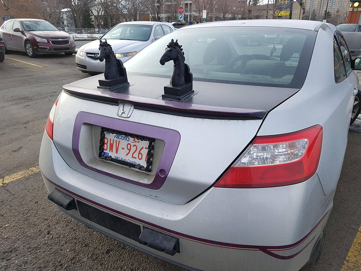 Daily Pictures. Part 1 (61 pics) Daily Pictures. Part 1 (61 pics)