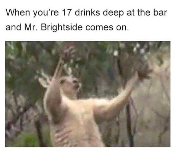 Daily Pictures. Part 2 (60 pics) Daily Pictures. Part 2 (60 pics)