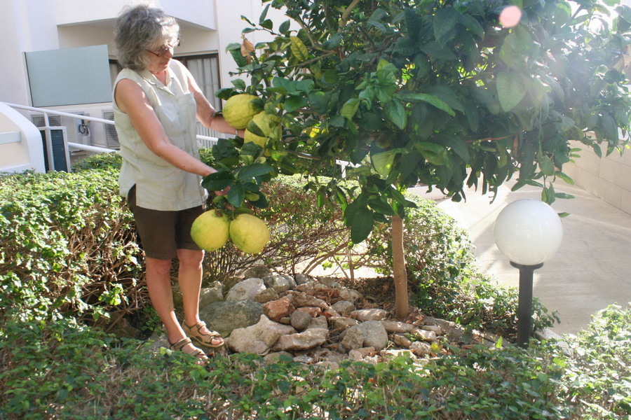 Daily Pictures. Part 2 (60 pics) Daily Pictures. Part 2 (60 pics)