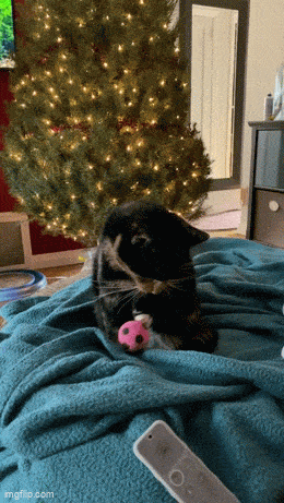 Acid GIFs, December 18 (25 gifs)