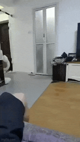 Acid GIFs, December 18 (25 gifs)