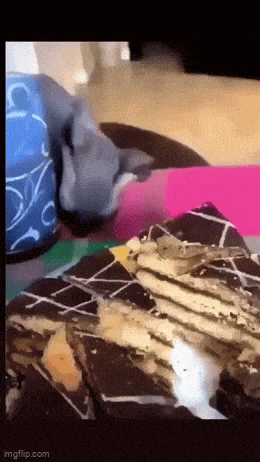 Acid GIFs, December 18 (25 gifs)