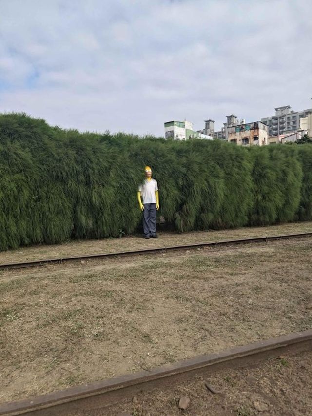 What Is Going On Here? (45 pics)