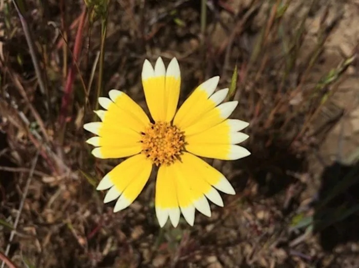 Photos For Perfectionists (17 pics)