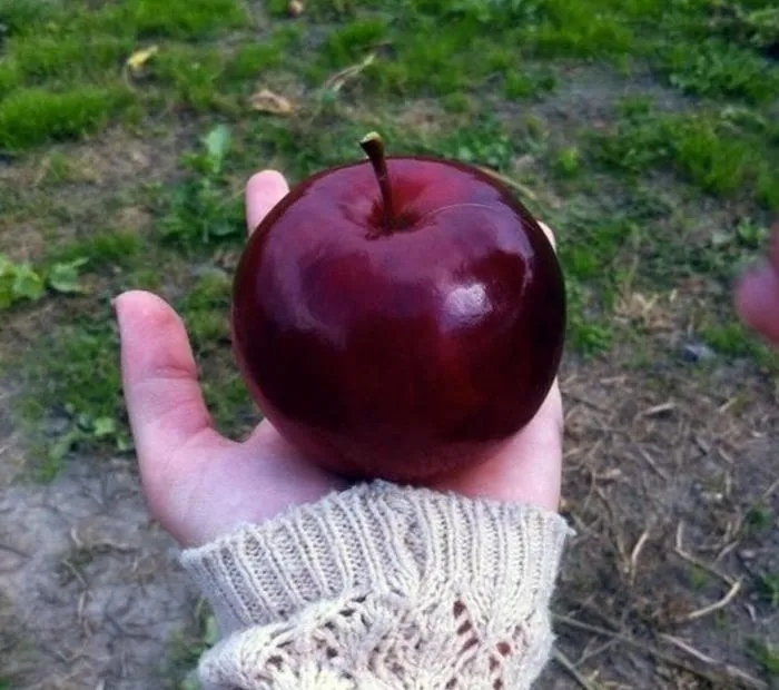 Photos For Perfectionists (17 pics)