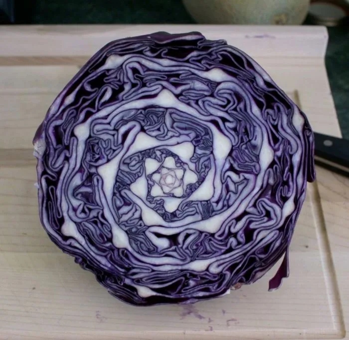 Photos For Perfectionists (17 pics)