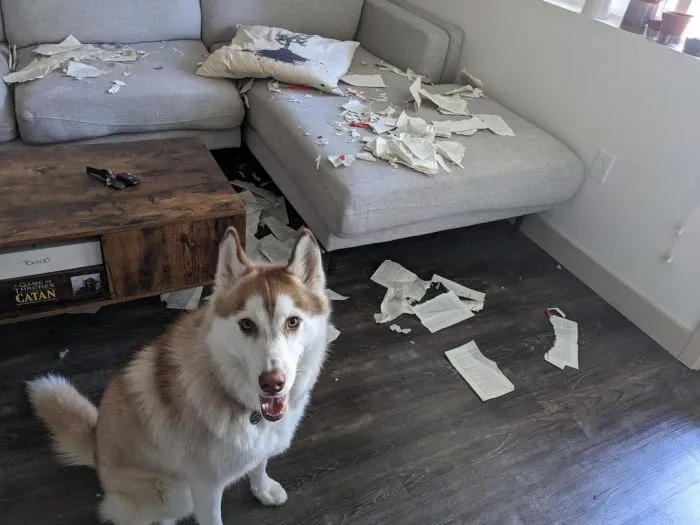 Unfortunate Situations (18 pics)