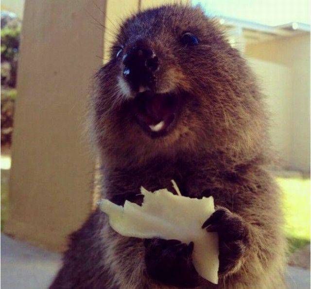 Daily Pictures. Part 1 (63 pics)