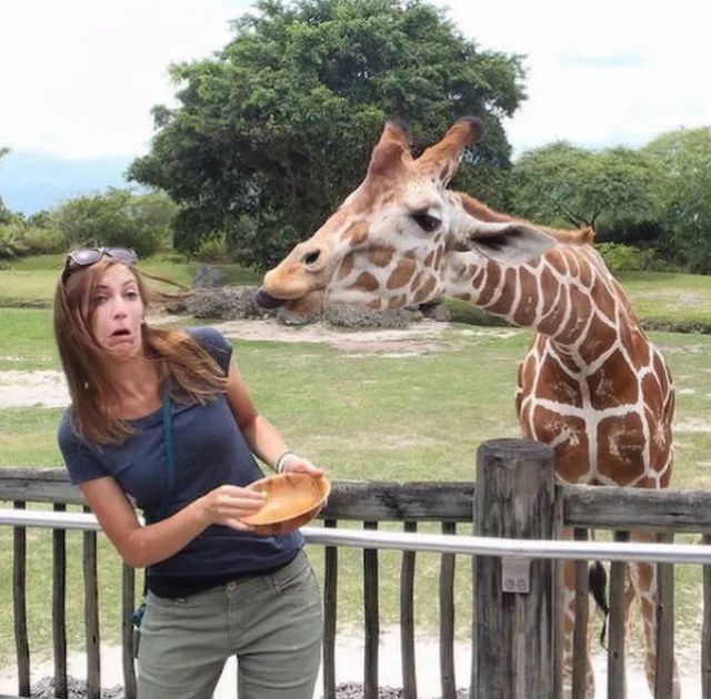 Daily Pictures. Part 1 (63 pics)