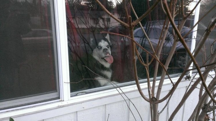 Daily Pictures. Part 1 (63 pics)