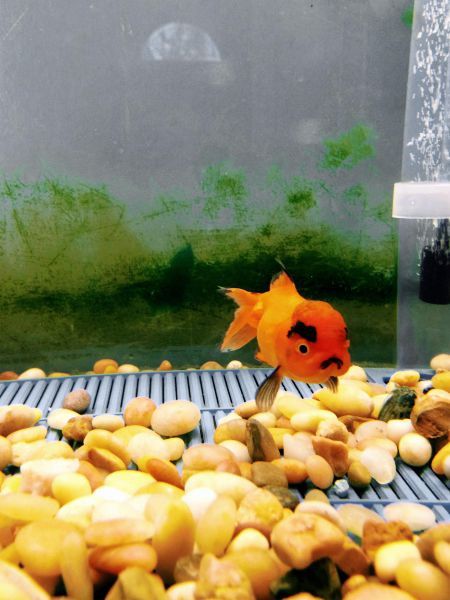 Daily Pictures. Part 1 (63 pics)