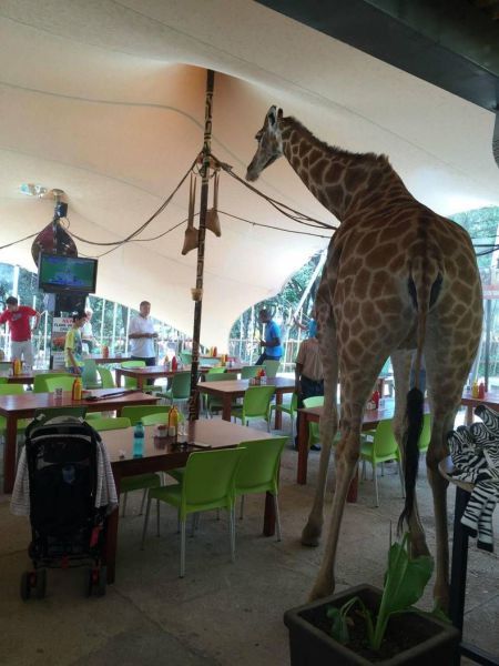 Daily Pictures. Part 1 (63 pics)