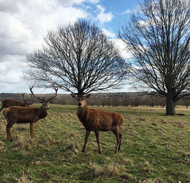 Daily Pictures. Part 1 (63 pics)