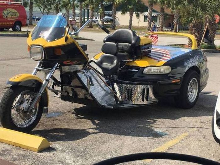 Daily Pictures. Part 1 (63 pics)