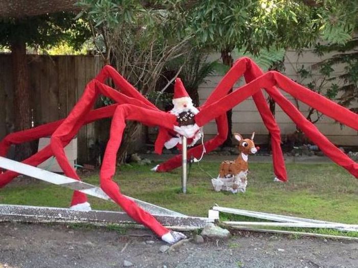 Daily Pictures. Part 1 (63 pics)