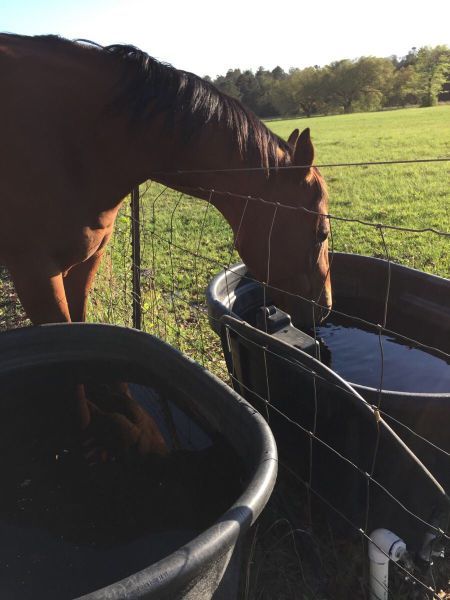 Daily Pictures. Part 1 (63 pics)