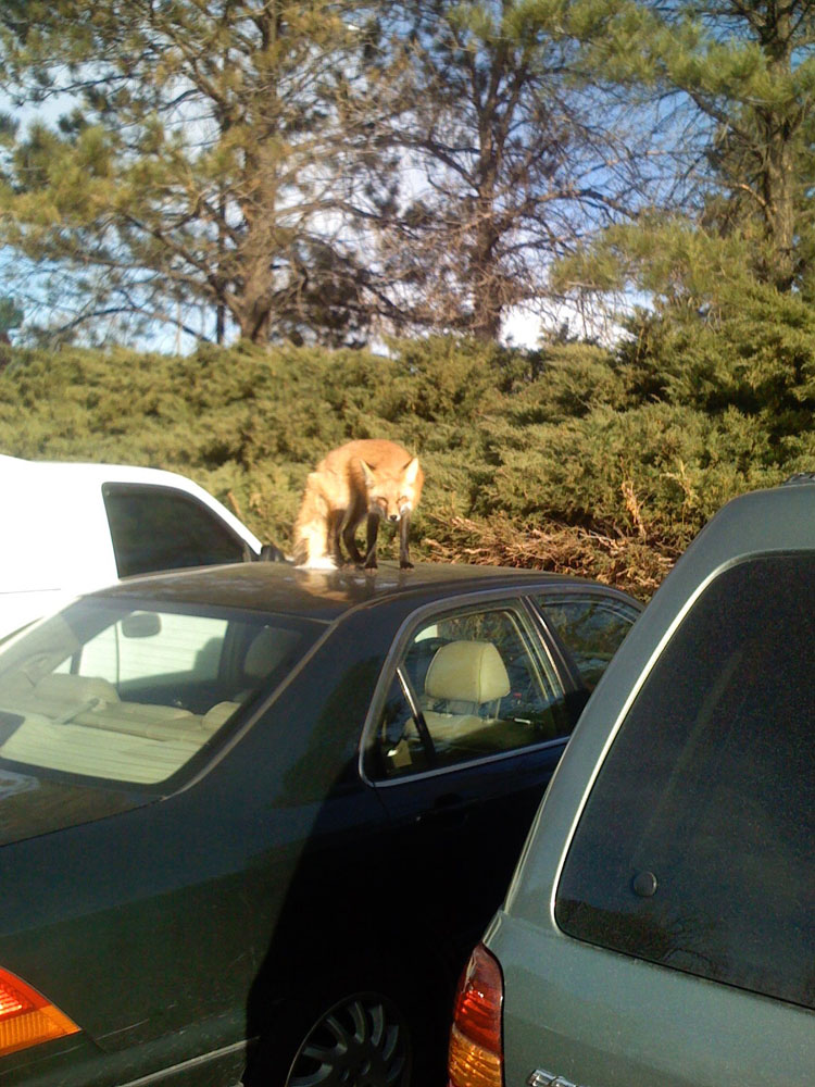 Daily Pictures. Part 2 (62 pics) Daily Pictures. Part 2 (62 pics)