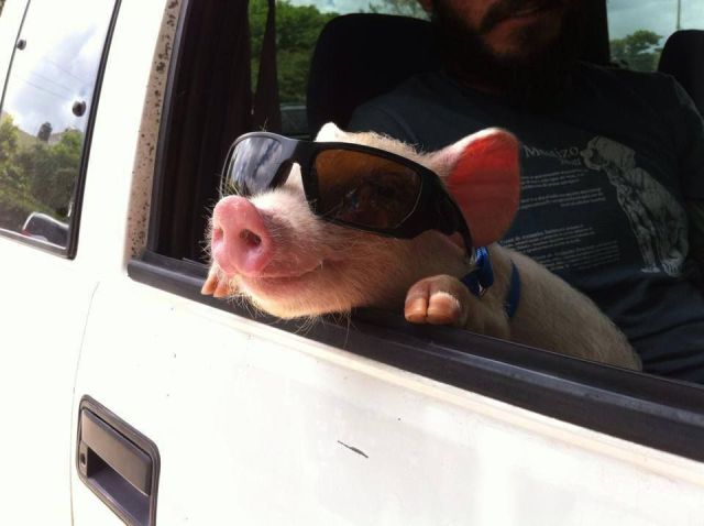 Daily Pictures. Part 1 (63 pics)