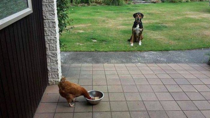 Daily Pictures. Part 1 (63 pics)