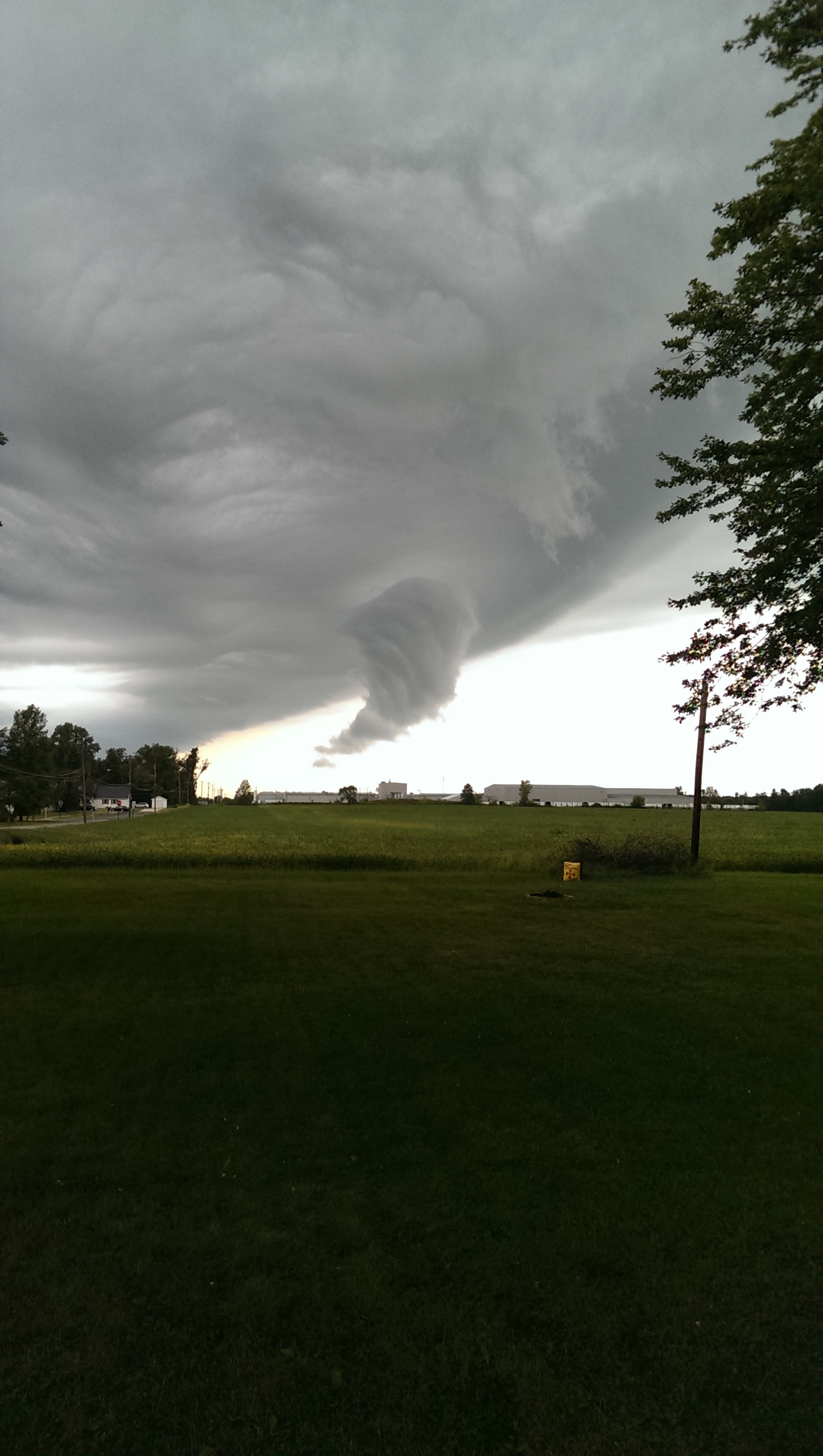 Daily Pictures. Part 2 (62 pics) Daily Pictures. Part 2 (62 pics)