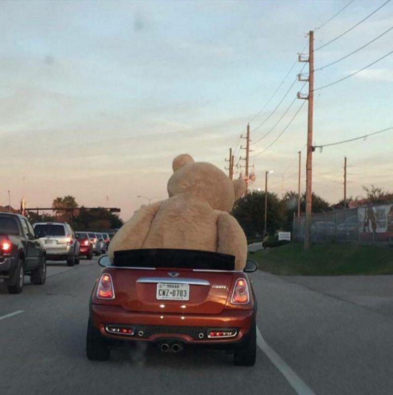 Daily Pictures. Part 2 (62 pics) Daily Pictures. Part 2 (62 pics)