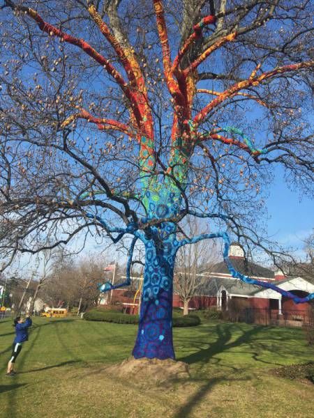 Daily Pictures. Part 1 (63 pics)