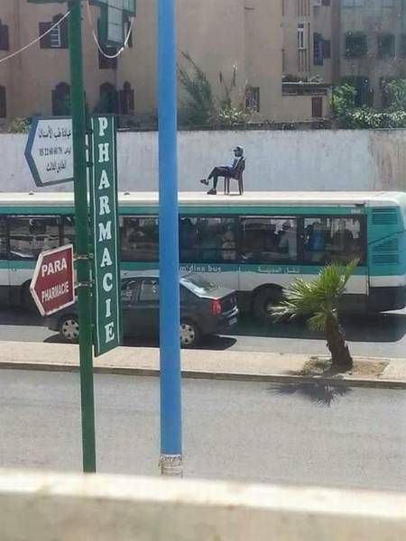 Daily Pictures. Part 1 (63 pics)