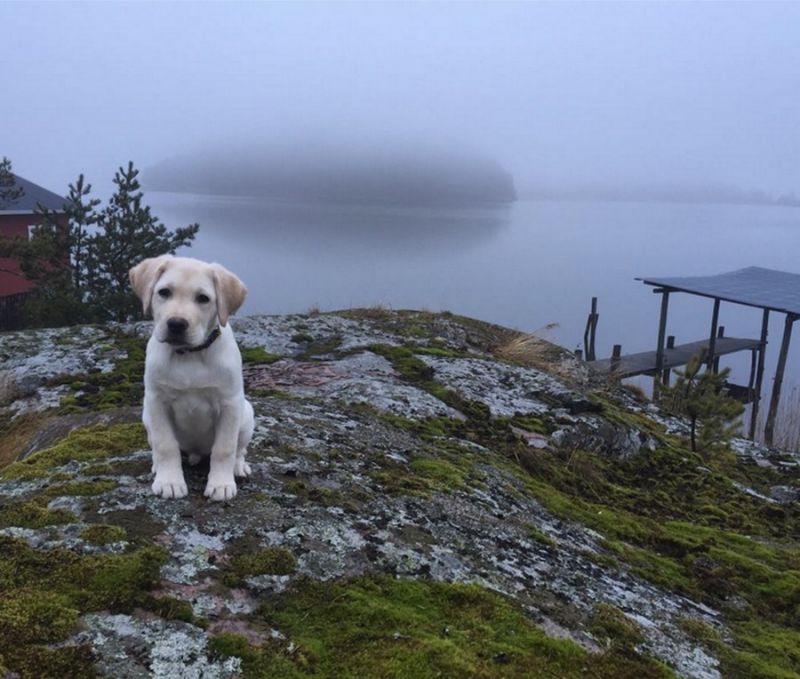 Daily Pictures. Part 2 (62 pics) Daily Pictures. Part 2 (62 pics)