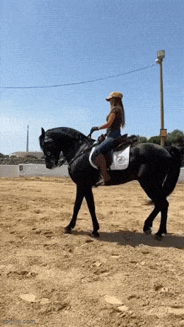 Acid GIFs, December 19 (25 gifs)