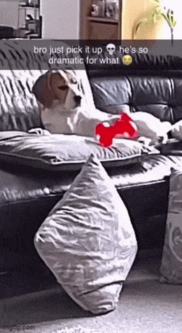 Acid GIFs, December 19 (25 gifs)