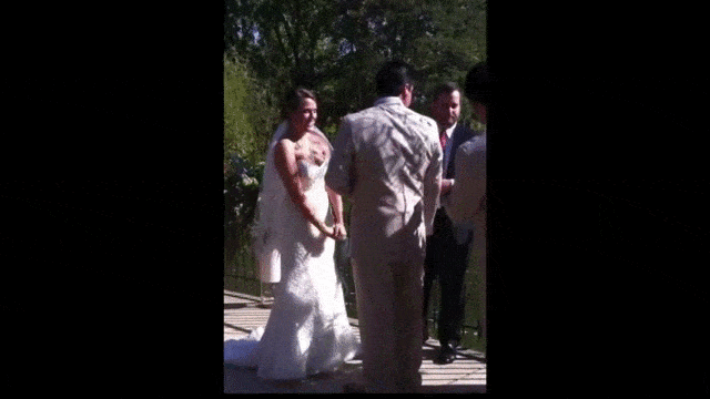 Acid GIFs, December 19 (25 gifs)