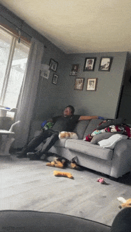 Acid GIFs, December 19 (25 gifs)