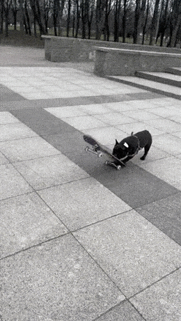 Acid GIFs, December 19 (25 gifs)