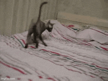 Acid GIFs, December 19 (25 gifs)