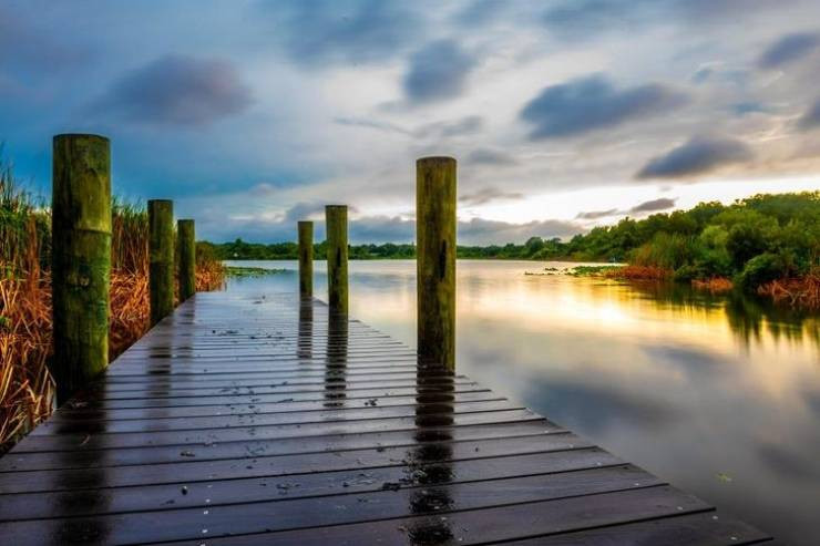 Photos For Perfectionists (15 pics)