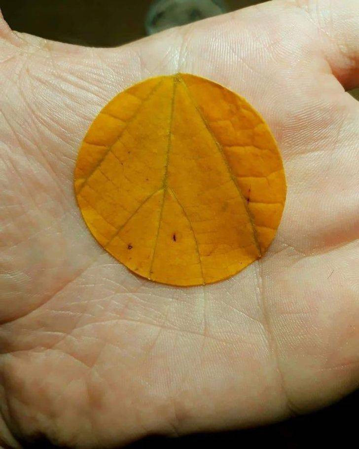 Photos For Perfectionists (15 pics)